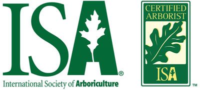 Logo til ISA